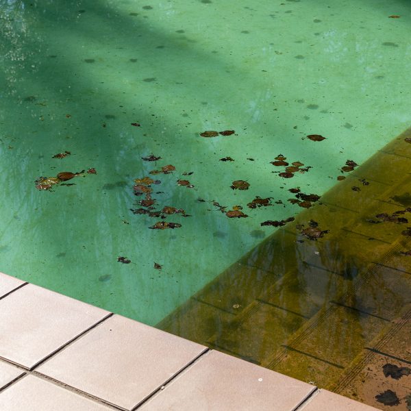 Dirty swimming pool with leaves in the pool bottom. Cleaning concept